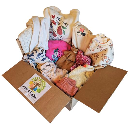 Individual Box